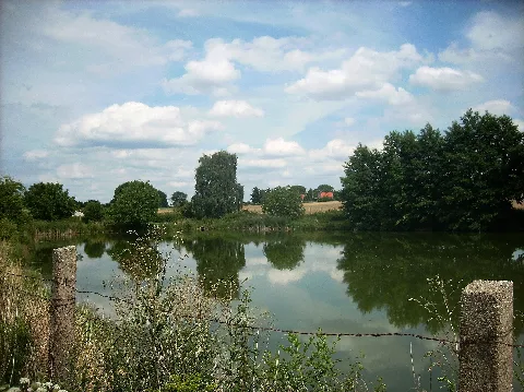 Dewitzteichgordstr