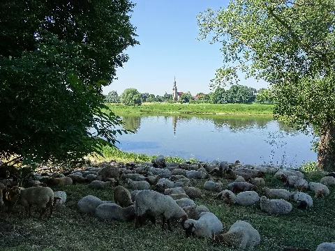 Kirchtürme als Landmarken und Orientierungspunkte: Die Boritzer Kirche aus dem 18. Jh., am linken Ufer der Elbe vom Elberadweg aus gesehen. Boritz ist ein Ortsteil der Gemeinde Hirschstein im Landkreis Meißen in Sachsen.