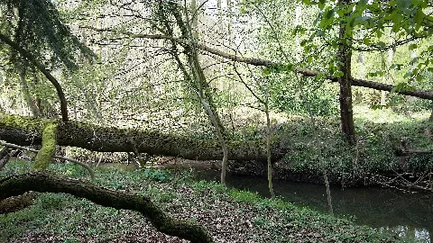 Die Düte Im Osnabrücker Land