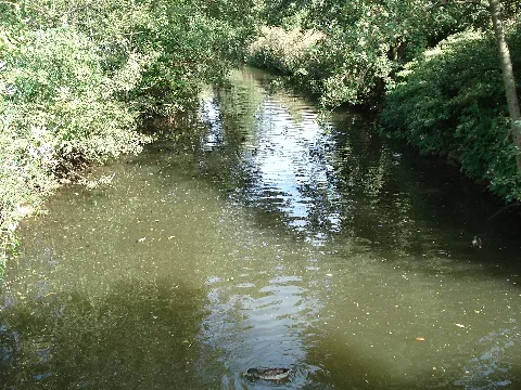 Die Erf In Bürgstadt