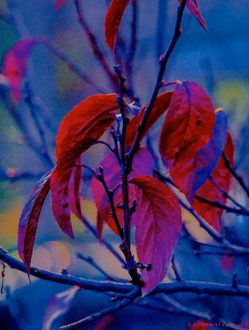Die Farben Des Herbstes, München, Donnersberger Brücke (11094333844)