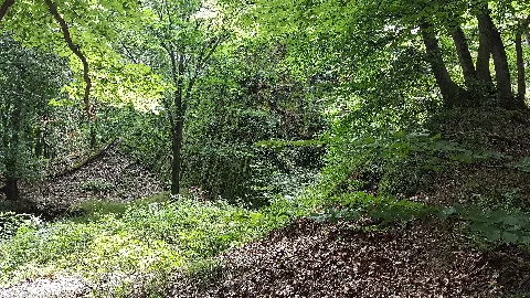 Die Koppe Hörre