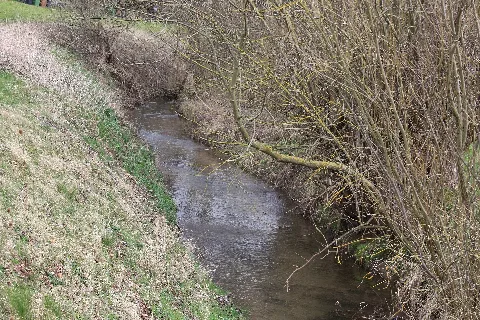 Die Nebelbeeke Bei Westuffeln