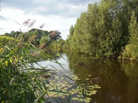 Die Neetze Bei Horburg