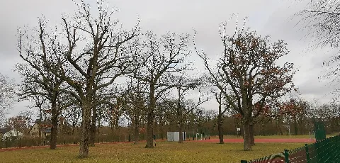Jahnstraße
