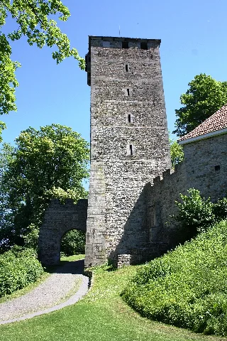 Die Schaumburg ist eine Höhenburg im Gebiet der Stadt Rinteln im Landkreis Schaumburg in Niedersachsen.