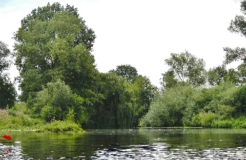 Die Werse Bei Pleister Mühle Panoramio