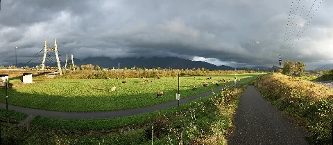 Diepoldsau Panorama