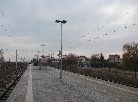 Dieskaubf