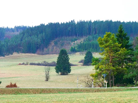 Different Shades Of Green Panoramio