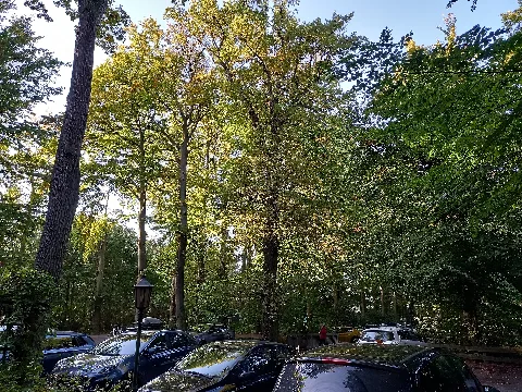 Dinklage Burgwald Hotelparkplatz