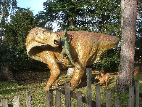Dinosaurier Museum Von Holzmaden Panoramio