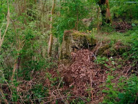Doberg1