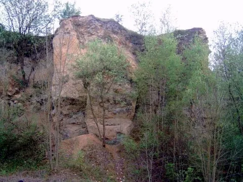 Doberg2