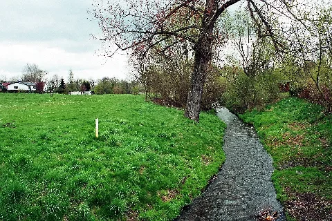 Dodendorf (Sülzetal), Die Sülze