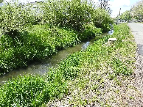 Döhlen, Neustadt An Der Orla 4