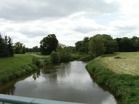 Döhlenelster