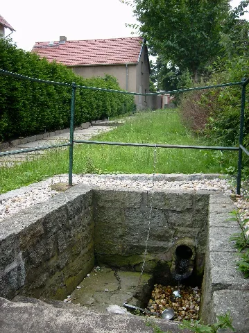 Dölziggauchel