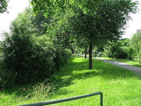 Dönchebach, 1, Oberzwehren, Kassel