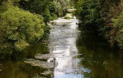 Donau Panoramio (4)