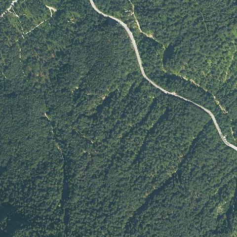 Dop40 Landkreis Berchtesgadener Land 32787 5286 (Bayerische Vermessungsverwaltung)