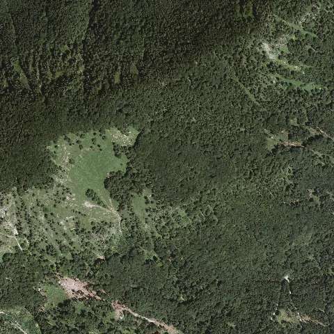 Dop40 Landkreis Traunstein 32756 5294 (Bayerische Vermessungsverwaltung)