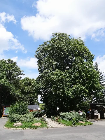 Dorfplatz Von Wickersdorf, Saalfelder Höhe
