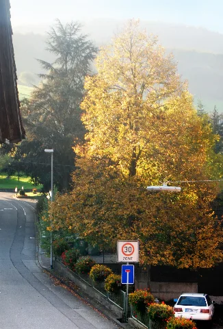 Dorfweg Oberdorf Panoramio