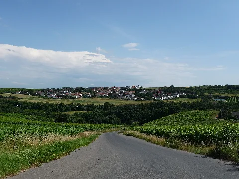 Dorsheim Panoramio