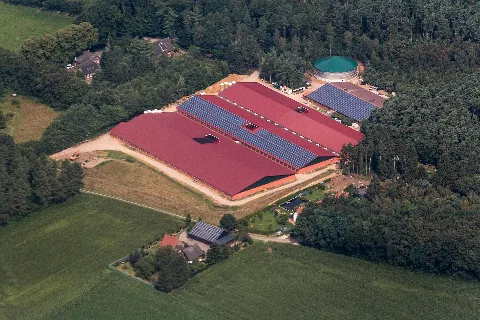 Dorsten, Mastbetrieb 2014 1954