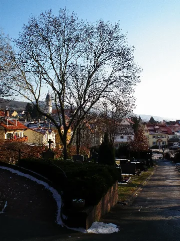 Dossenheim Blick Über Friedhof Auf Gemeinde