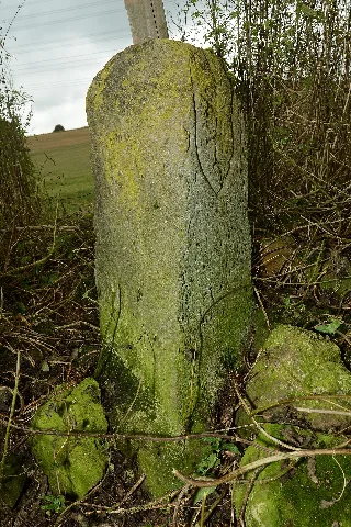 Dreibannstein (Hüttigweiler) 2016 (1)