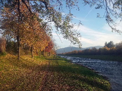 Dreisam Im Herbst