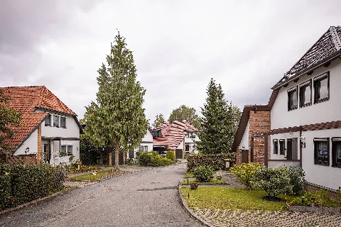 Am Feldgehölz