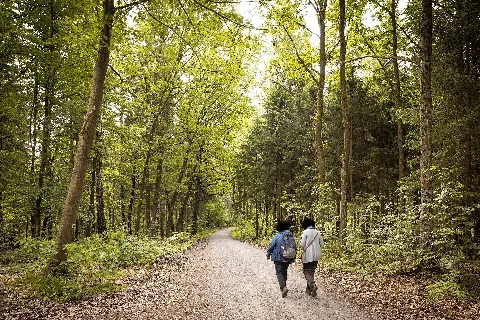 Dresden, Dresdner Heide, Ochsenkopf, 17.6.2.40 100293