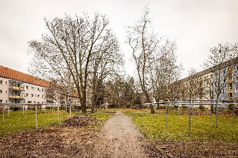 Alte Straße