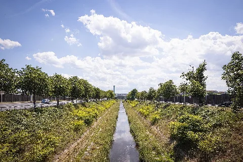 Fröbelstraße