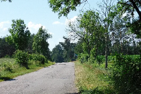 Droga Z Mrozów Do Seroczyna Wjazd Do Borek