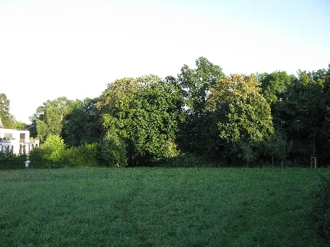 Drusel, 48, Bad Wilhelmshöhe, Kassel