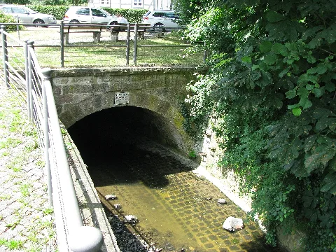 Drusel, 55, Bad Wilhelmshöhe, Kassel