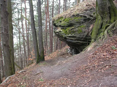 Dscn3500 Panoramio