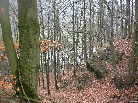 Dscn3504 Panoramio
