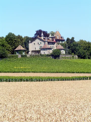 Du Crest 2011 07 03 15 48 27 Pict3088