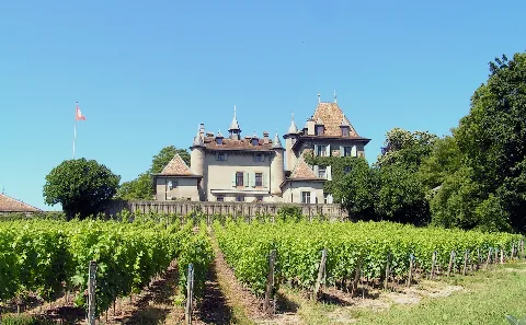Du Crest 2011 07 03 16 07 28 Pict3100