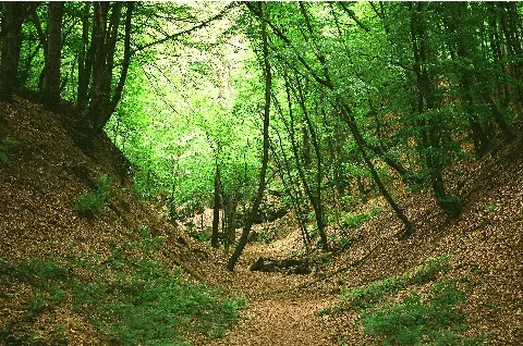 Dudweiler (Saarbrücken), On The Burning Mountain, Image 1