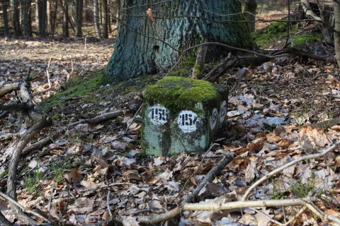 Duebener Heide Forstabteilungsstein (7)