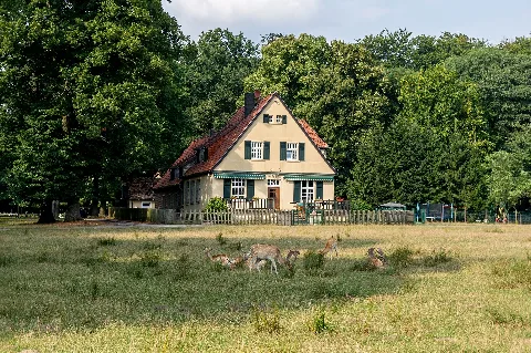Dülmen, Wildpark 2013 00463