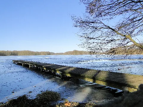 Dümmer Dümmersee 2012 02 15 002