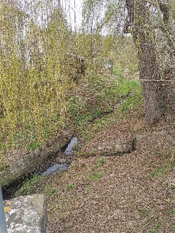 Duerrbach At Schafhof In Oberduerrbach 3