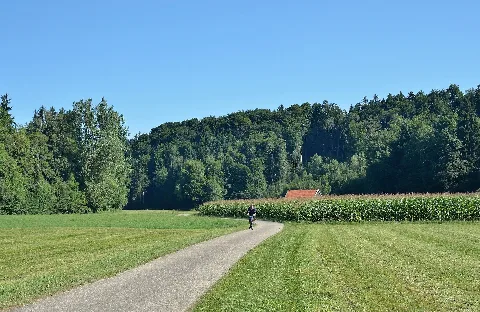 Dürre Ager Valley Near Brandham
